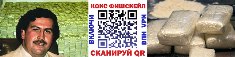 Cocaine Fish Scale  продажа наркотиков  Ирбит 