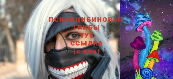 Альфа ПВП Долгопрудный