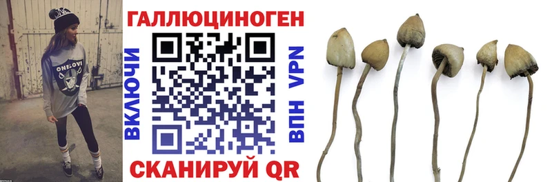 Галлюциногенные грибы мухоморы  Ирбит 